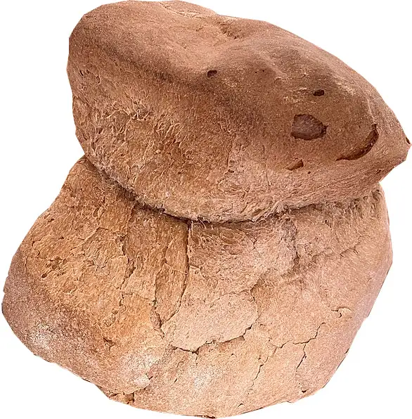 formato do pão tradicional alentejano