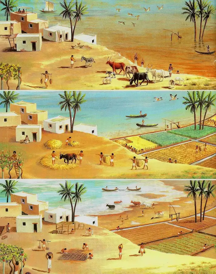 Agricultura e cultivo de cereais no Antigo Egipto Agricultura e cultivo de cereais no Antigo Egipto